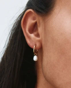 Edblad korvakorut, helmet, PERLA HOOPS GOLD Kullankeltainen