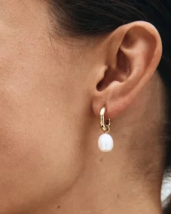 Edblad korvakorut Perla Hoops L Gold, Gold pleated