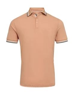 Gino Marcello Miesten Pikeepaita, K SALT PIKEE Persikka