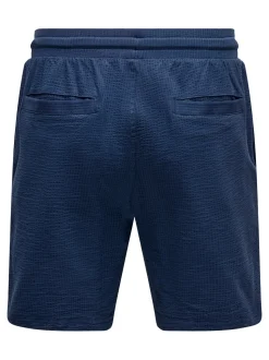Only and Sons miesten shortsit, K KIAN REG SEERSUCKER SHORTS Tummansininen