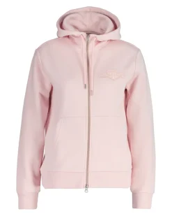 REG TONAL SHIELD ZIP HOODIE VAALEANPUNAINEN