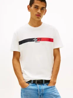 Tommy Jeans miesten t-paita TJM REG SIGNATURE STRIPE T EXT, valkoinen