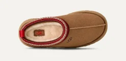 UGG naisten kengät, W TAZZ II Kaakaonruskea